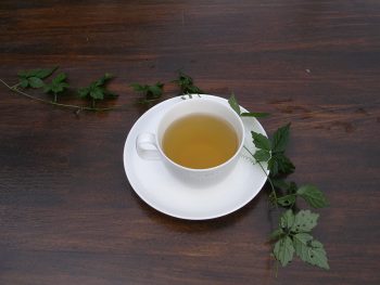 七葉膽茶